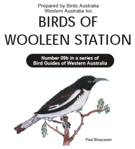 Birds Of Wooleen Station Birds Of Wooleen Station