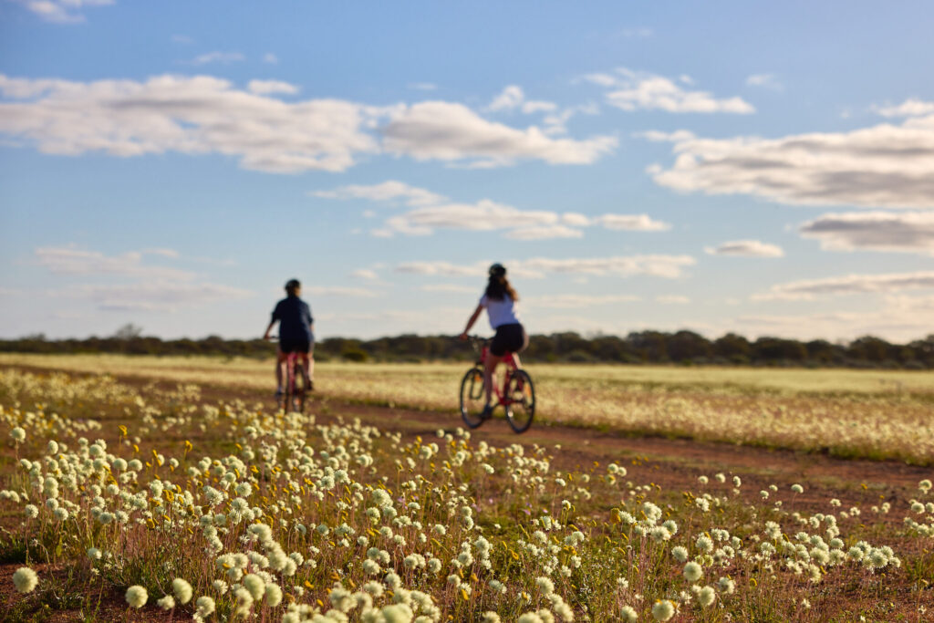 Cycling in outback WA, Wooleen Station