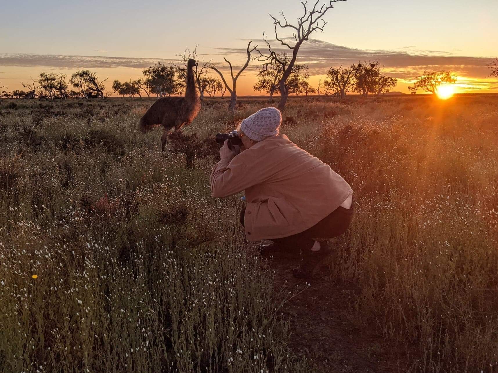 Bird Photography Workshop – Wooleen Station