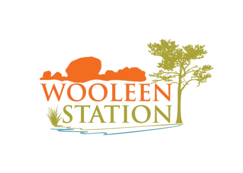 WooleenStation Logo Color NEW