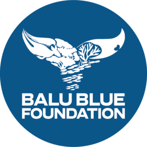 balu-blue-logos-10