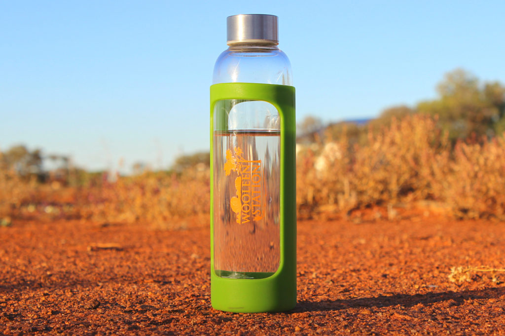 Glass Wooleen water bottle